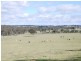 165 Richards Lane, Joadja NSW 2575