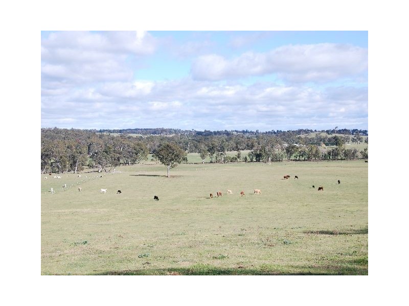 165 Richards Lane, Joadja NSW 2575
