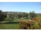 Currawong Oxleys Hill Road, Bowral NSW 2576