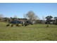 Currawong Oxleys Hill Road, Bowral NSW 2576