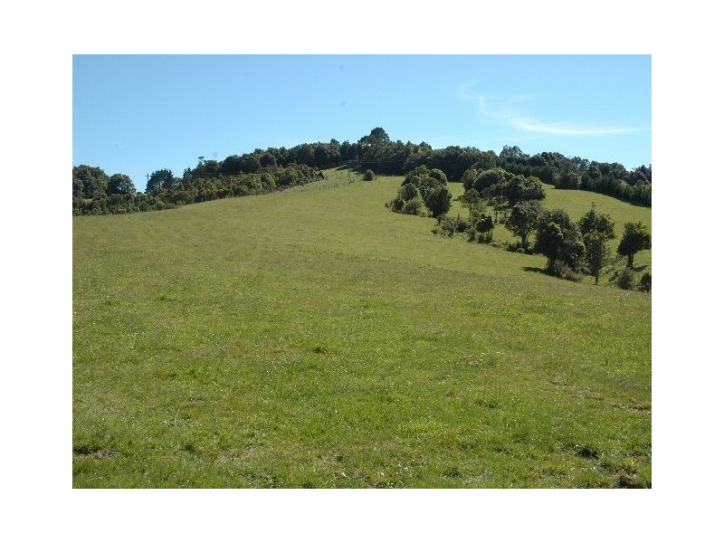 Lot 101 Vandenbergh Road, Robertson NSW 2577