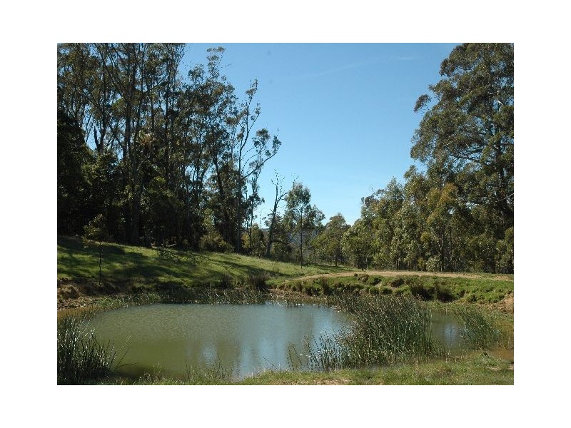 Lot 101 Vandenbergh Road, Robertson NSW 2577