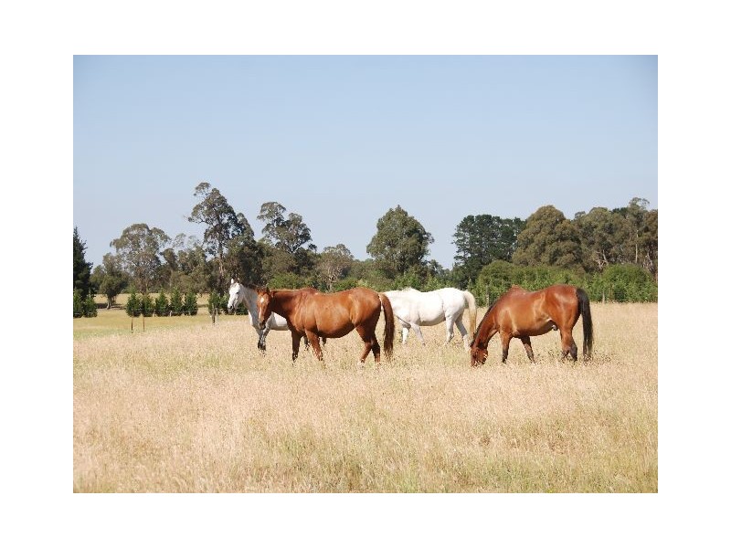 Rowena Park Sproules Lane, Glenquarry NSW 2576