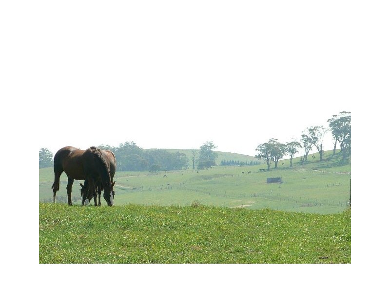 268 Yarrawa Rd, Moss Vale NSW 2577