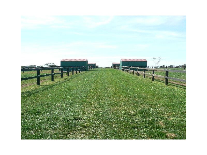 268 Yarrawa Rd, Moss Vale NSW 2577