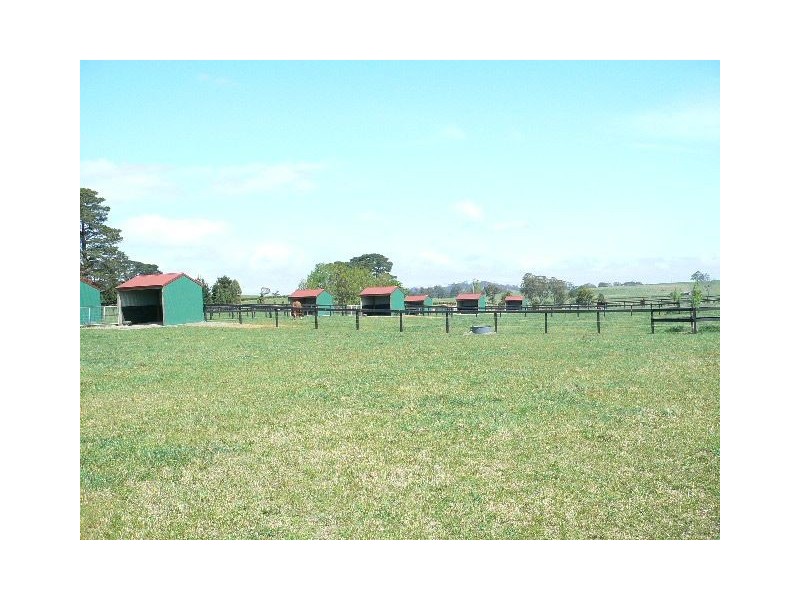 268 Yarrawa Rd, Moss Vale NSW 2577