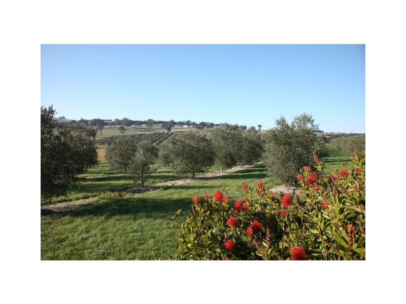 Currawong Oxleys Hill Road, Bowral NSW 2576