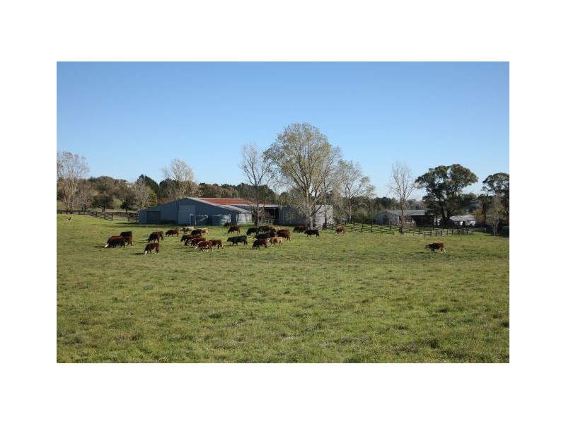 Currawong Oxleys Hill Road, Bowral NSW 2576