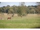 Exeter NSW 2579