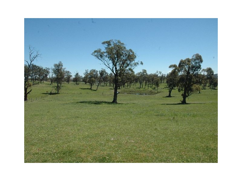 33 Carribee Road, Moss Vale NSW 2577