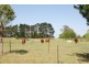 Rowena Park Sproules Lane, Bowral NSW 2576
