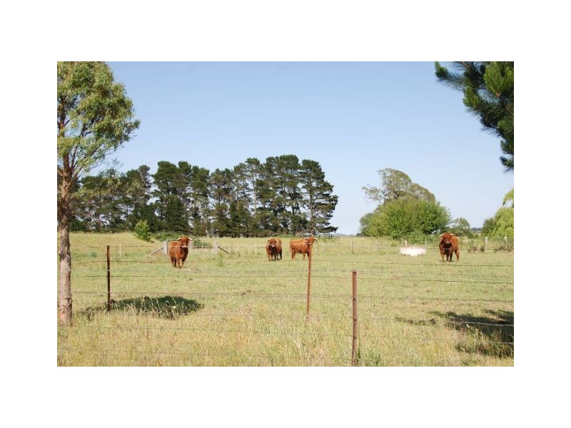 Rowena Park Sproules Lane, Bowral NSW 2576