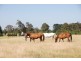 Rowena Park Sproules Lane, Bowral NSW 2576