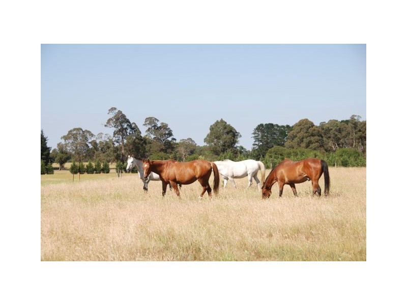 Rowena Park Sproules Lane, Bowral NSW 2576