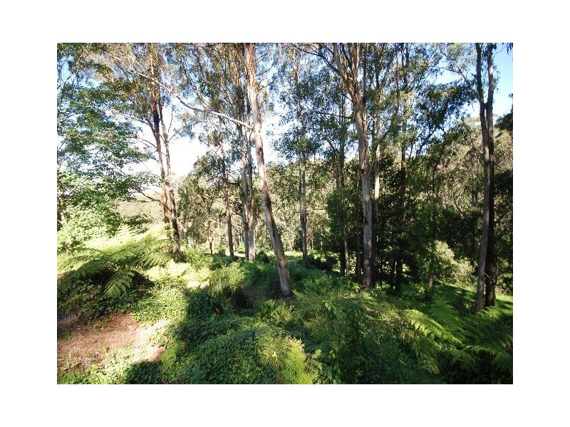 00 ‘Keil-Na-Nain’ 377 Bundanoon Road, Exeter NSW 2579