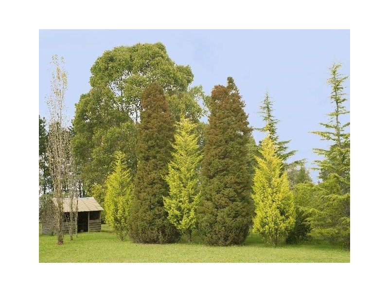 Carrington Falls NSW 2577