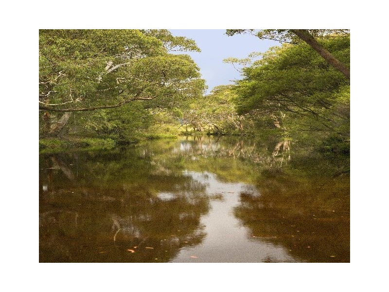Carrington Falls NSW 2577