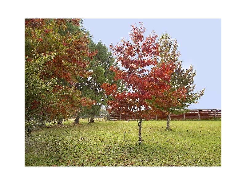 Carrington Falls NSW 2577