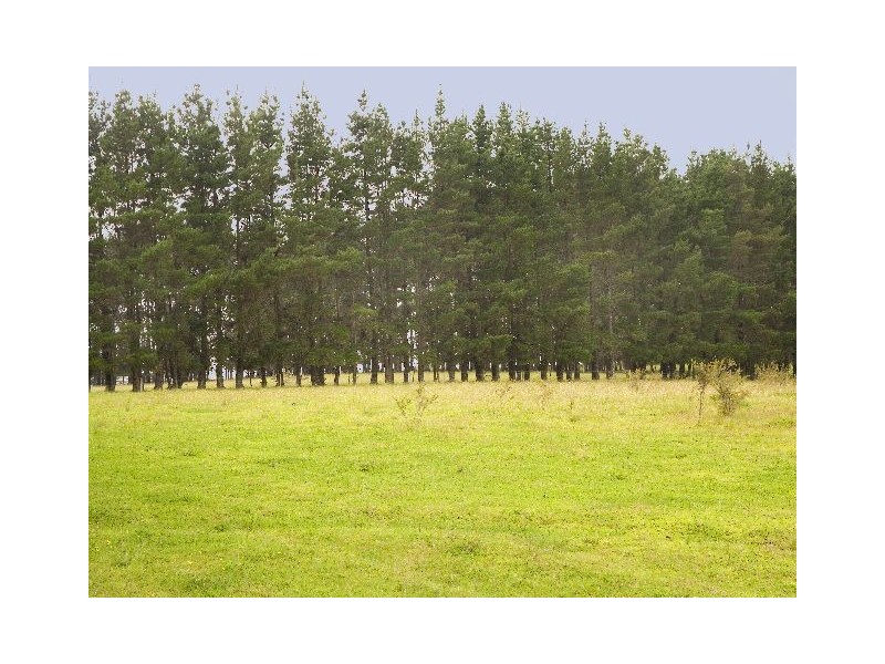 Carrington Falls NSW 2577