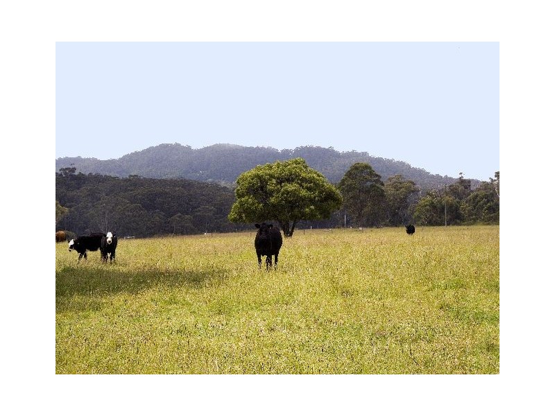 Carrington Falls NSW 2577
