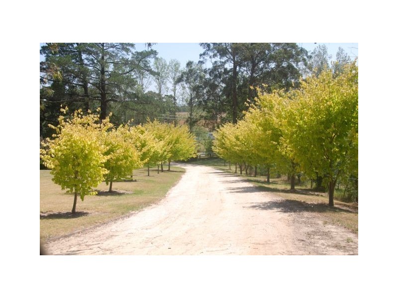 1051 Old Hume Highway, Alpine NSW 2575