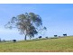 Lot 101 Nowra Road, Fitzroy Falls NSW 2577