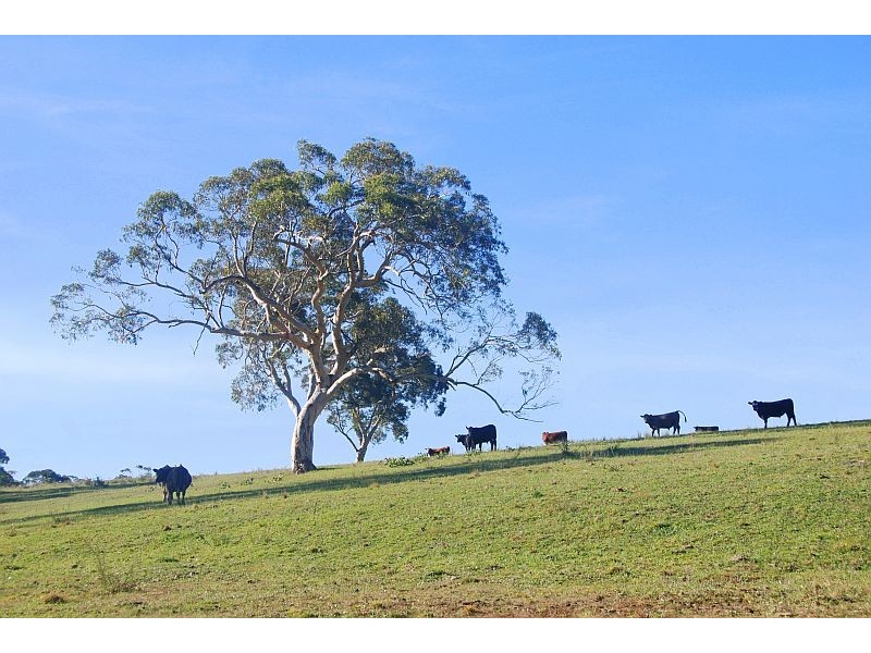 Lot 101 Nowra Road, Fitzroy Falls NSW 2577