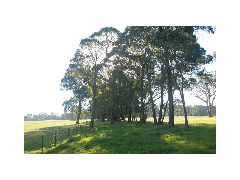 Lot 101 Nowra Road, Fitzroy Falls NSW 2577