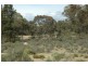 Lot 205 Joadja Road, Joadja NSW 2575