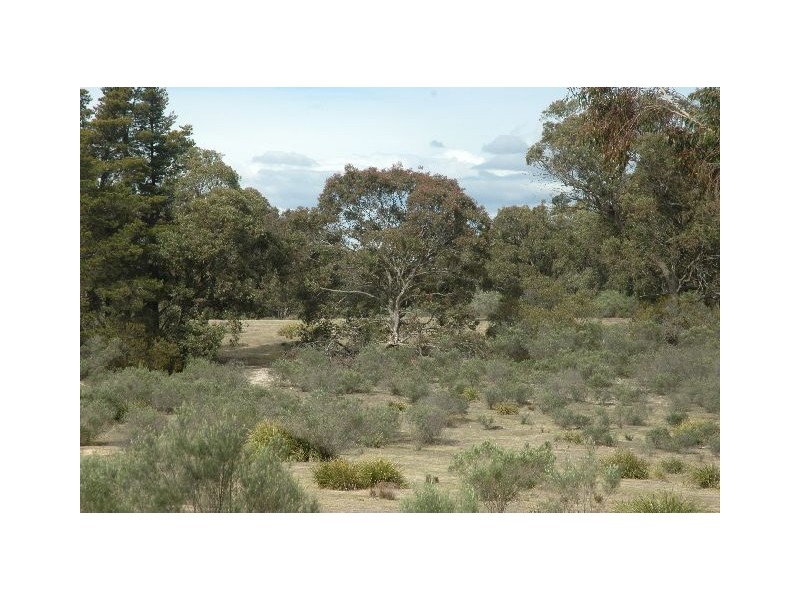 Lot 205 Joadja Road, Joadja NSW 2575