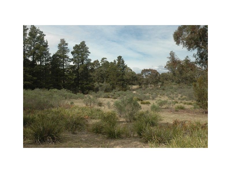Lot 205 Joadja Road, Joadja NSW 2575