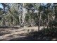 Lot 205 Joadja Road, Joadja NSW 2575