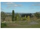 7 Orchard Road, Bowral NSW 2576