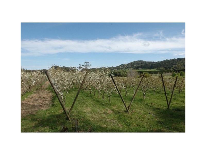 277 Fountaindale Road, Robertson NSW 2577