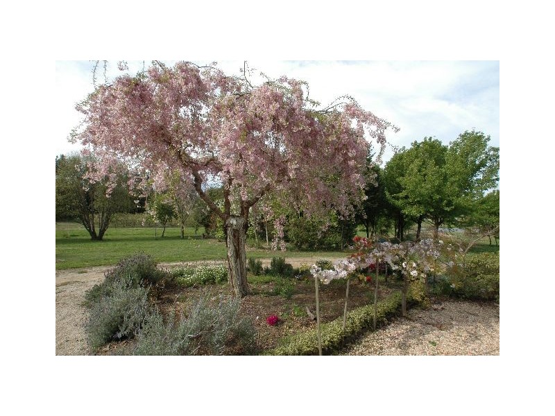 277 Fountaindale Road, Robertson NSW 2577