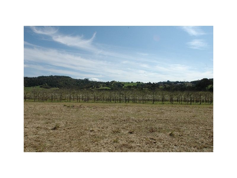 277 Fountaindale Road, Robertson NSW 2577