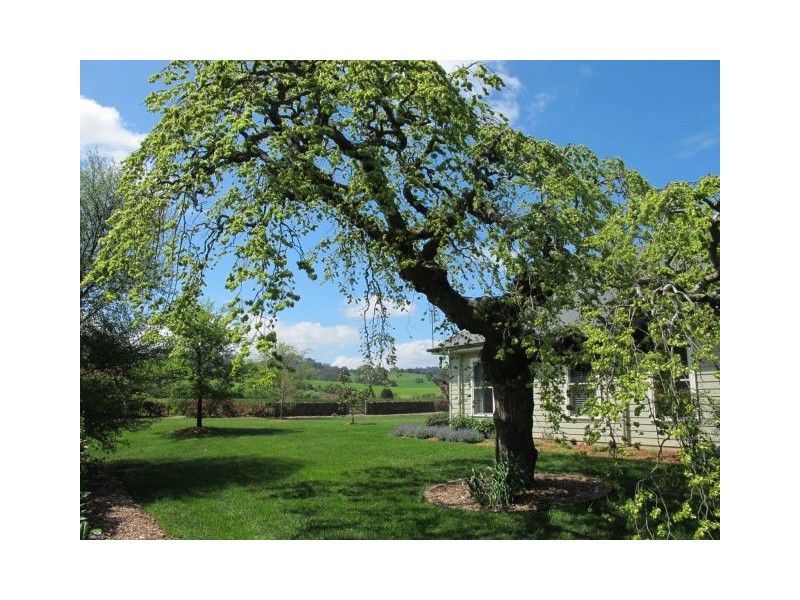 Burrawang NSW 2577