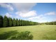 223 Greenhills Road, Moss Vale NSW 2577
