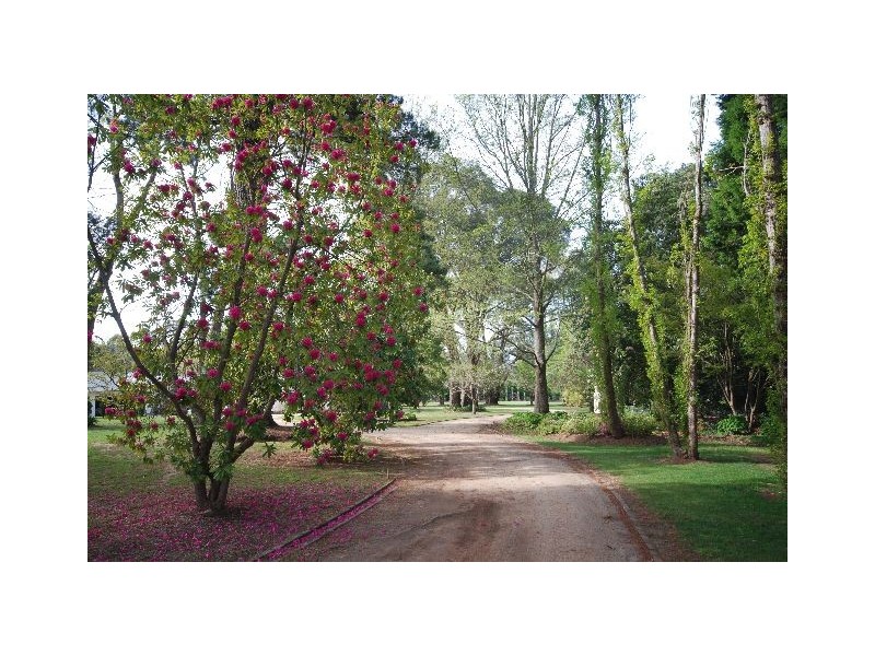 110 Osborne Road, Burradoo NSW 2576
