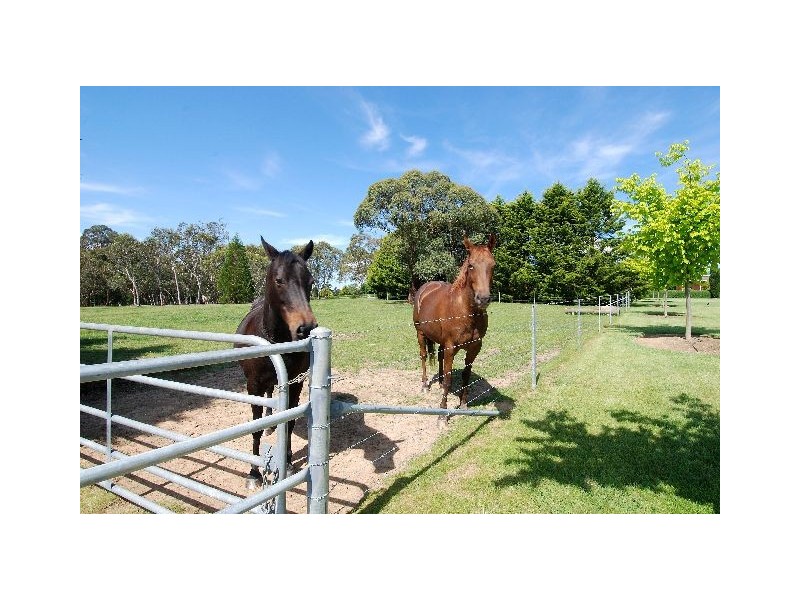 Sutton Forest NSW 2577