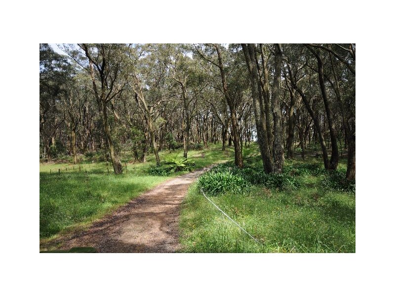 170 Walkers Road, Avoca NSW 2577