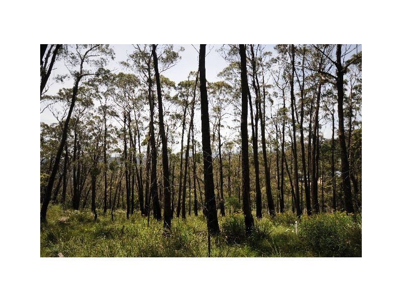Lot 62 King Street, Bowral NSW 2576