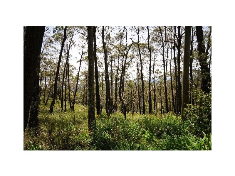 Lot 62 King Street, Bowral NSW 2576