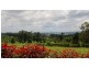 Burrawang NSW 2577