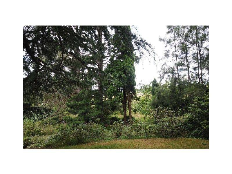 92 Shepherd, Bowral NSW 2576