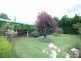 Colo Vale NSW 2575