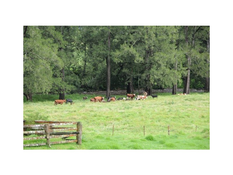 Lot 4 Kellys Road, Kangaroo Valley NSW 2577