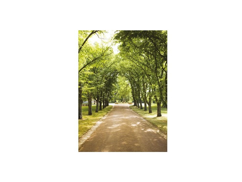 1 Kater Road, Sutton Forest NSW 2577