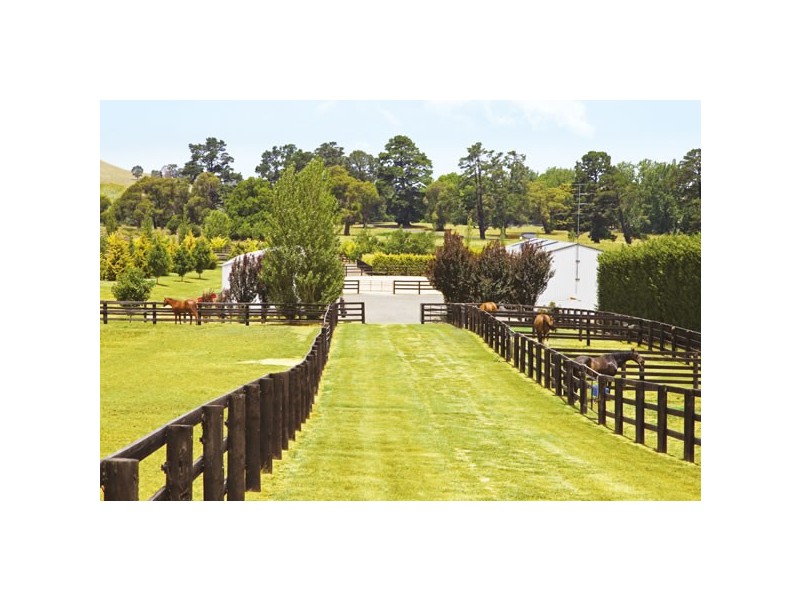 1 Kater Road, Sutton Forest NSW 2577