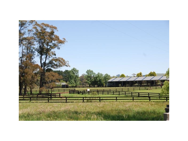Chevaux Parc Tourist Road, East Kangaloon NSW 2576